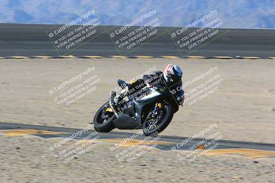 media/Jan-13-2024-SoCal Trackdays (Sat) [[9c032fe5aa]]/Bowl Exit Set 2 (1135am)/